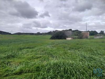 Acheter Terrain 6520 m2 Vila-do-bispo