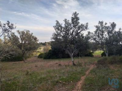 Acheter Terrain 12000 m2 Vila-do-bispo