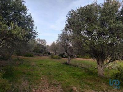 Acheter Terrain Vila-do-bispo rgion FARO