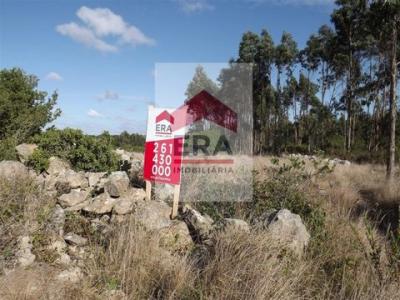 Acheter Terrain 7480 m2 Lourinha