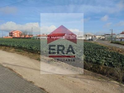 Annonce Vente Terrain Peniche