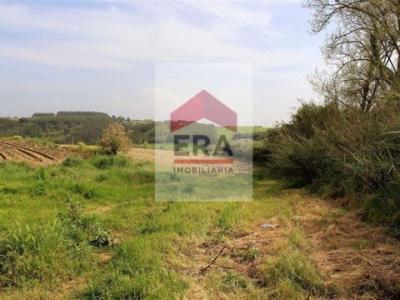 Acheter Terrain 7480 m2 Lourinha