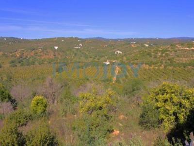 Acheter Terrain 32767 m2 Tavira