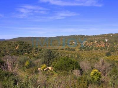 Acheter Terrain Tavira rgion FARO