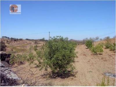 Annonce Vente Terrain Castro-marim