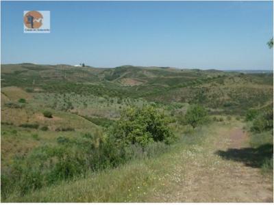 Acheter Terrain 1200 m2 Castro-marim