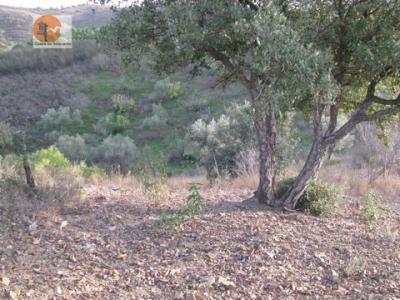 Acheter Terrain 3520 m2 Castro-marim