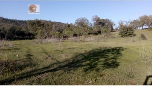 Annonce Vente Terrain Albufeira