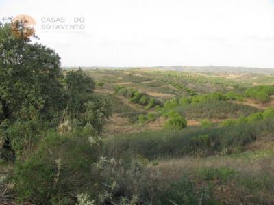 Acheter Terrain 4960 m2 Castro-marim