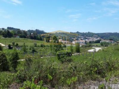 Annonce Vente Terrain Alcobaca