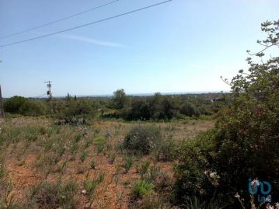 Annonce Vente Terrain Tavira