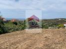 Annonce Vente Terrain LOURINHA