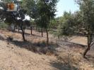 Vente Terrain CASTRO-MARIM 8950