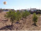 Vente Terrain CASTRO-MARIM 8950