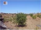 Annonce Vente Terrain CASTRO-MARIM