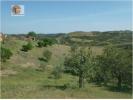 Vente Terrain CASTRO-MARIM 8950