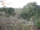 Vente Terrain CASTRO-MARIM 8950