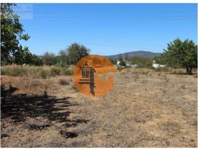 Annonce Vente Terrain Olhao