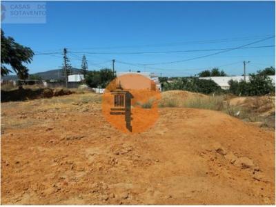 Acheter Terrain 11360 m2 Olhao