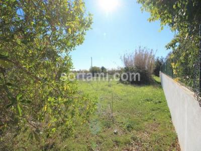 Annonce Vente Terrain Faro