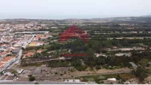 Acheter Terrain 28400 m2 Peniche