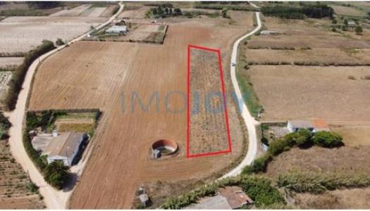 Acheter Terrain 4080 m2 Peniche