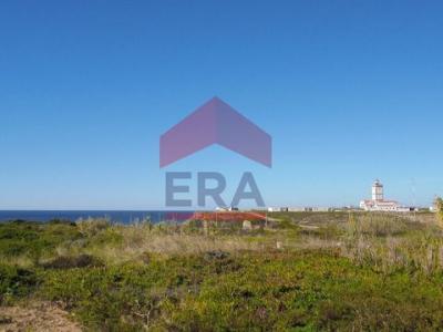 Acheter Terrain 11720 m2 Peniche