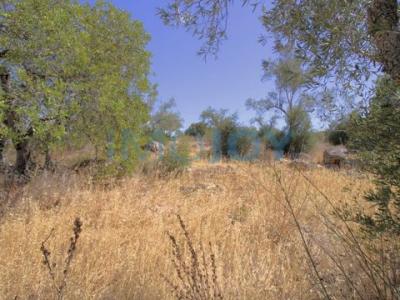 Annonce Vente Terrain Loule