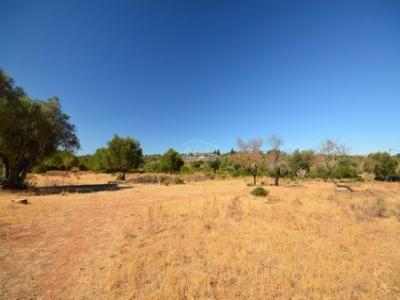 Acheter Terrain 258 m2 Loule