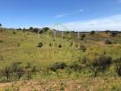 Vente Terrain VILA-REAL-DE-SANTO-ANTONIO 8900