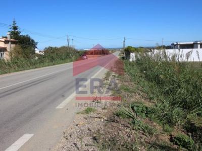 Acheter Terrain 2560 m2 Peniche