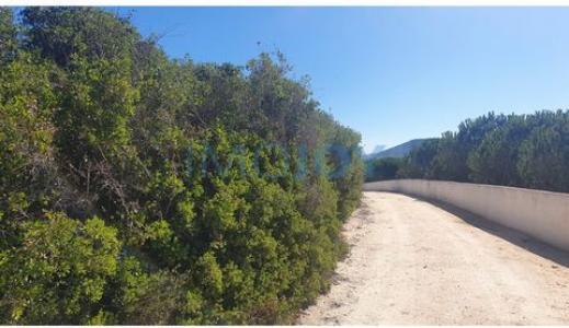 Acheter Terrain 5840 m2 Sintra