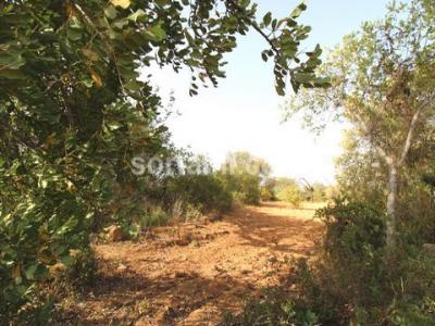 Annonce Vente Terrain Loule