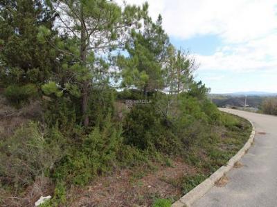 Acheter Terrain 257 m2 Aljezur