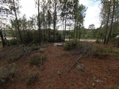 Acheter Terrain 295 m2 Aljezur