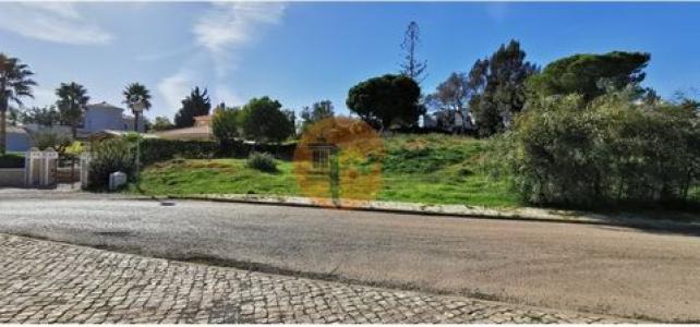 Annonce Vente Terrain Lagoa