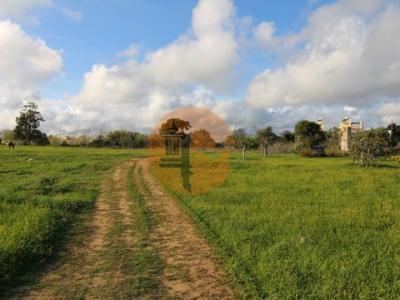 Acheter Terrain Olhao rgion FARO