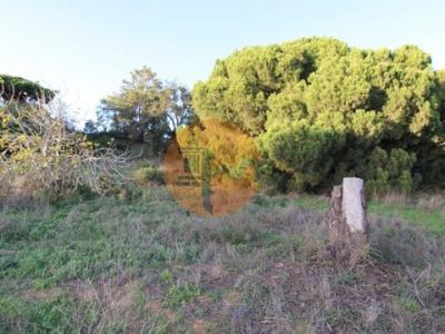 Annonce Vente Terrain Faro