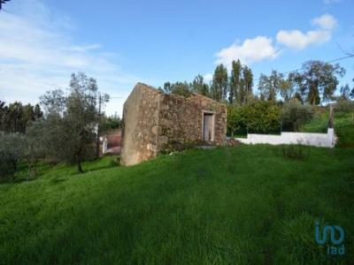 Acheter Maison Penela rgion COIMBRA