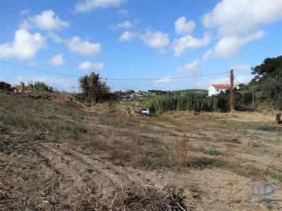 Acheter Terrain 1182 m2 Mafra