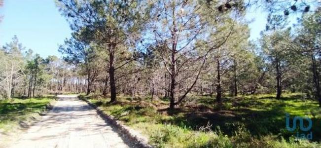 Annonce Vente Terrain Vila-do-bispo