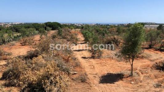 Acheter Terrain 600 m2 Albufeira