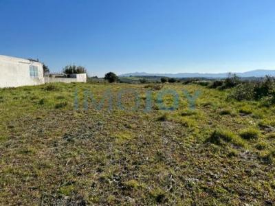 Vente Terrain Aldeia-galega SAO-JOAO-DAS-LAMPAS-E-TERRUGEM 11 au Portugal