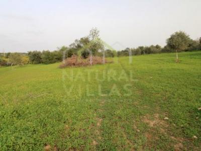 Acheter Terrain 1480 m2 Olhao