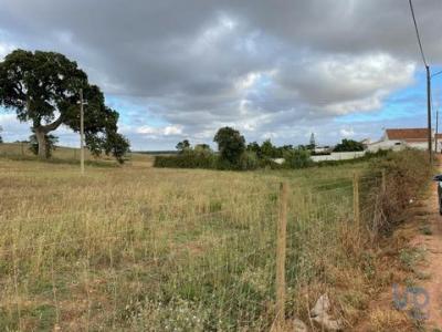 Annonce Vente Terrain Cercal-do-alentejo