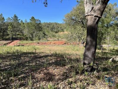 Acheter Terrain 1580 m2 Loule