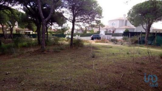 Annonce Vente Terrain Almancil