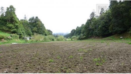 Annonce Vente Terrain Ponta-delgada