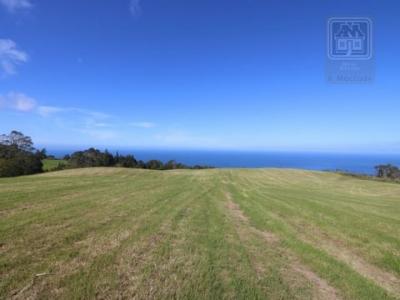 Annonce Vente Terrain Ponta-delgada