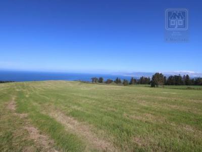 Acheter Terrain 21120 m2 Ponta-delgada